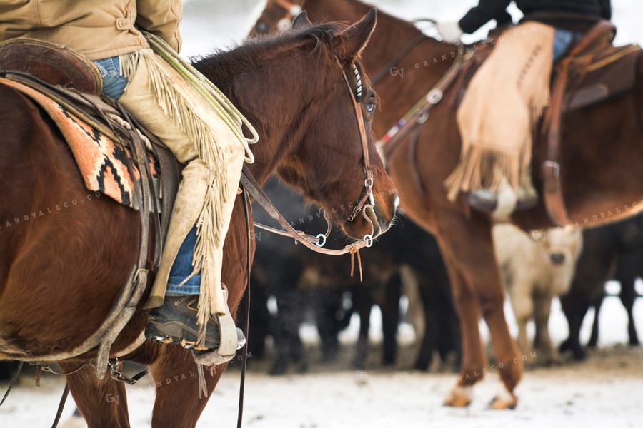 Ranchers on Horseback 69037