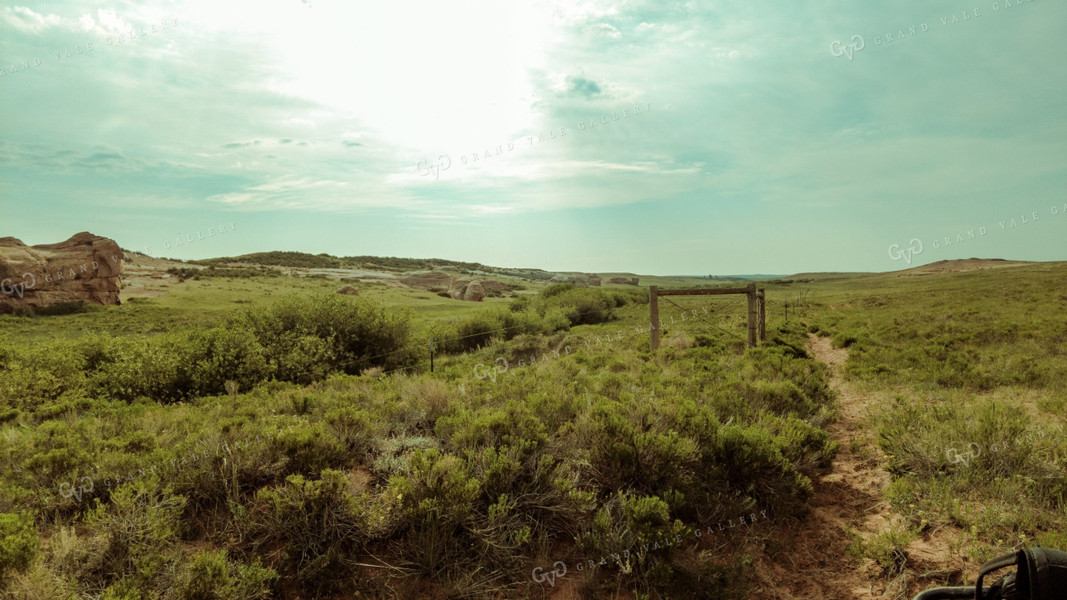 Scenic Pasture 58030