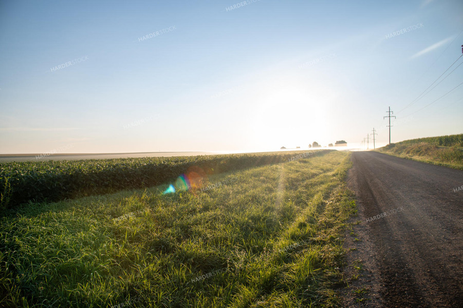 Foggy Sunrise over Soybean Field and Rural Country Road 25020