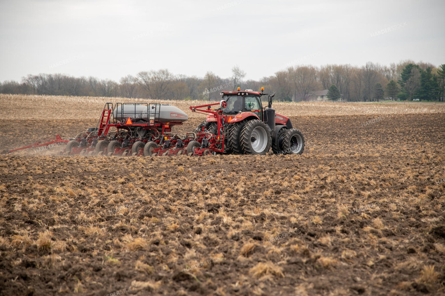 Planting into Tilled Cover Crops 25119