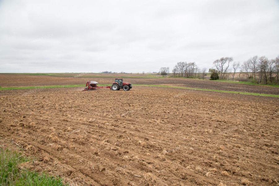 Planting into Tilled Cover Crops 25122