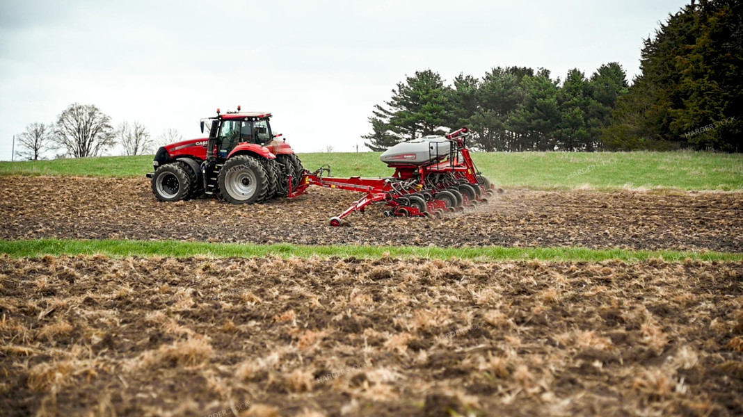 Planting into Tilled Cover Crops 25158