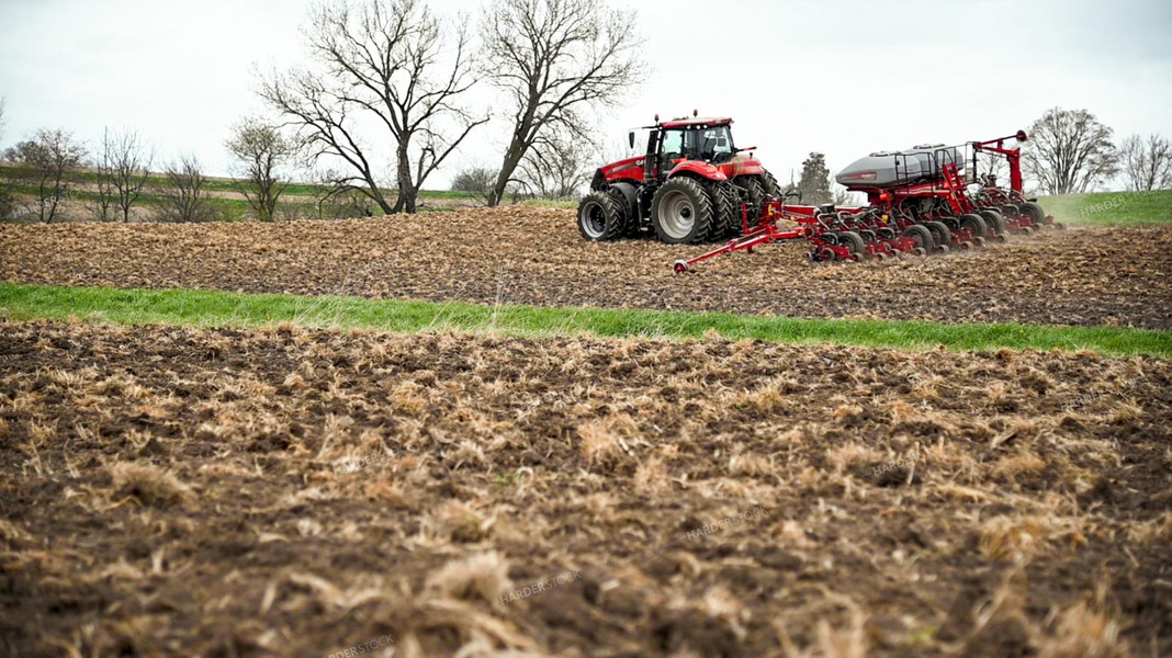 Planting into Tilled Cover Crops 25159