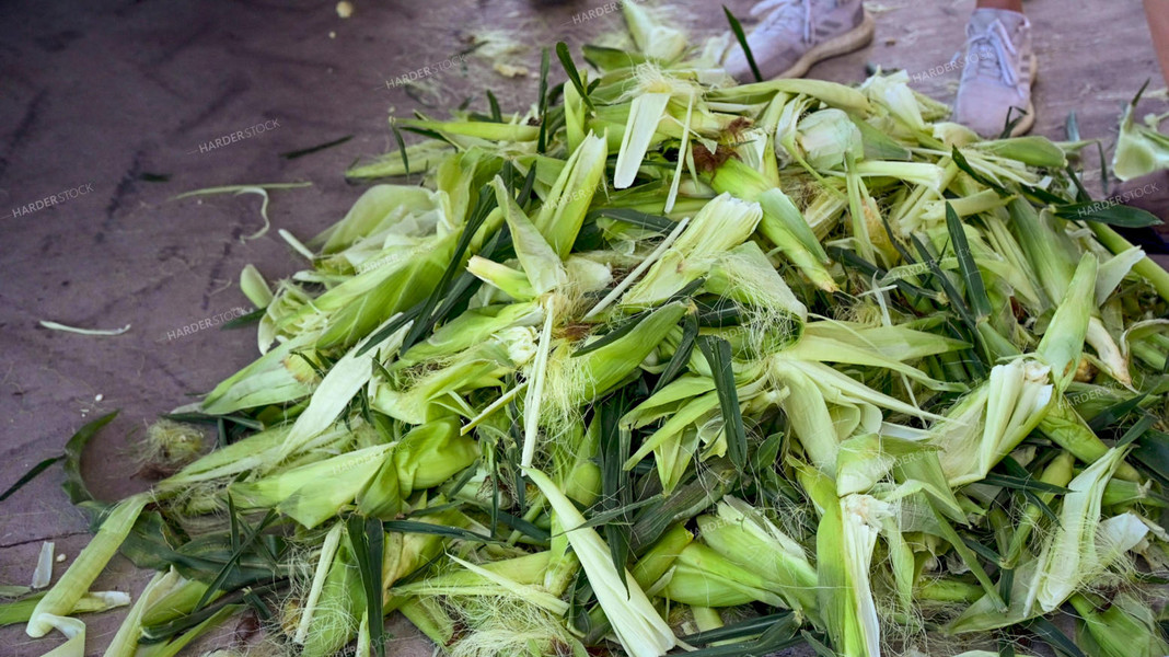 Sweet Corn Shucks 25246