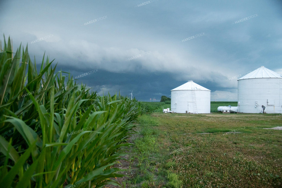 Storm Over a Corn Field and Grain Bins 25278