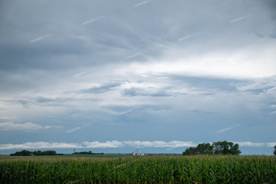 Storm Over a Corn Field 25288