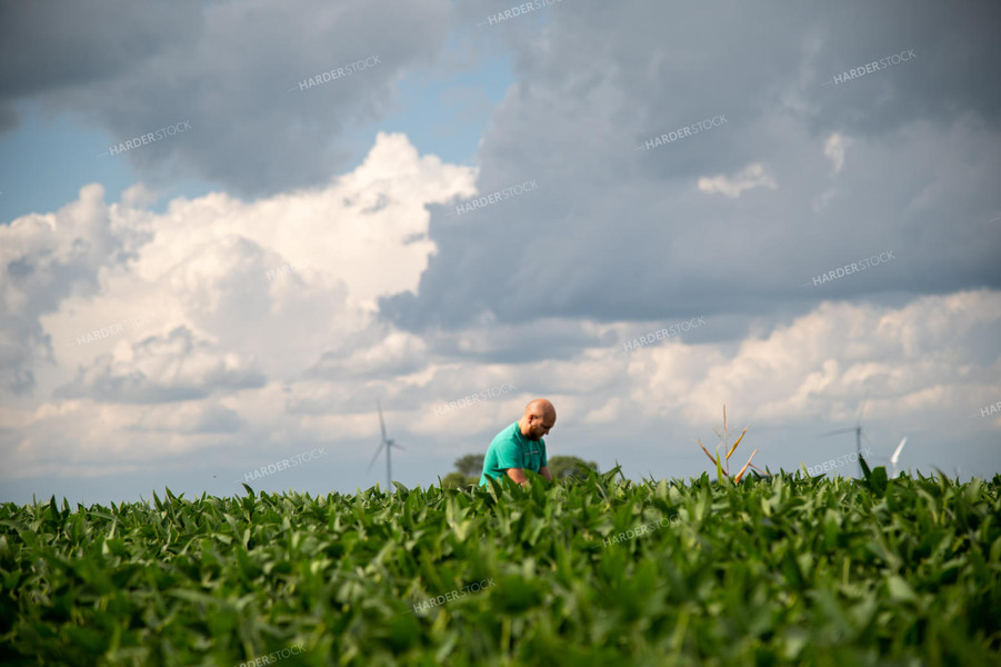 Farmer Scouting Growing Crops 25294