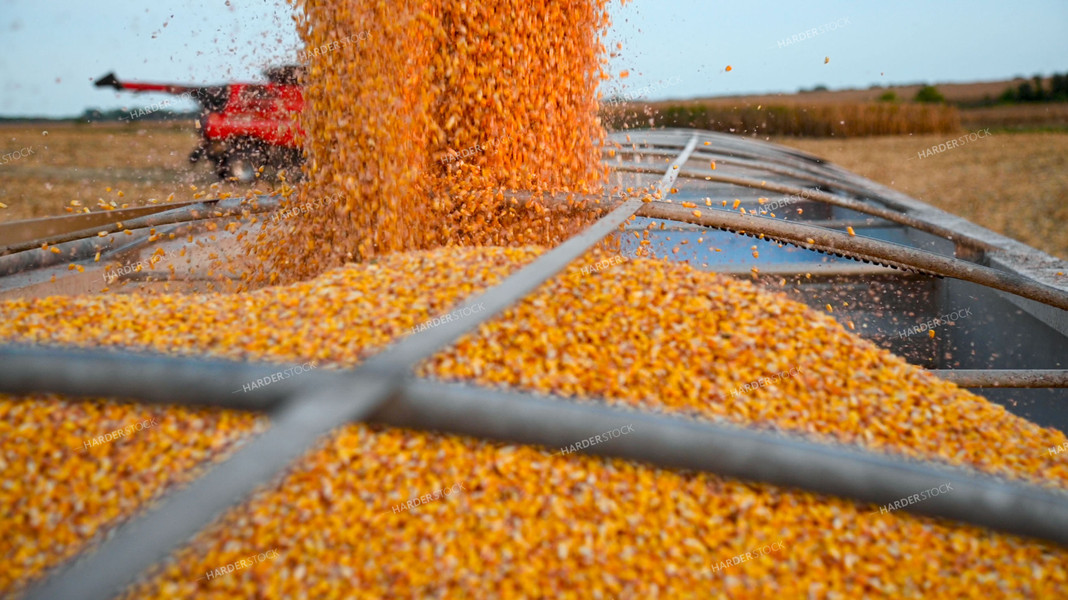 Grain Cart Unloading into Semi 25495