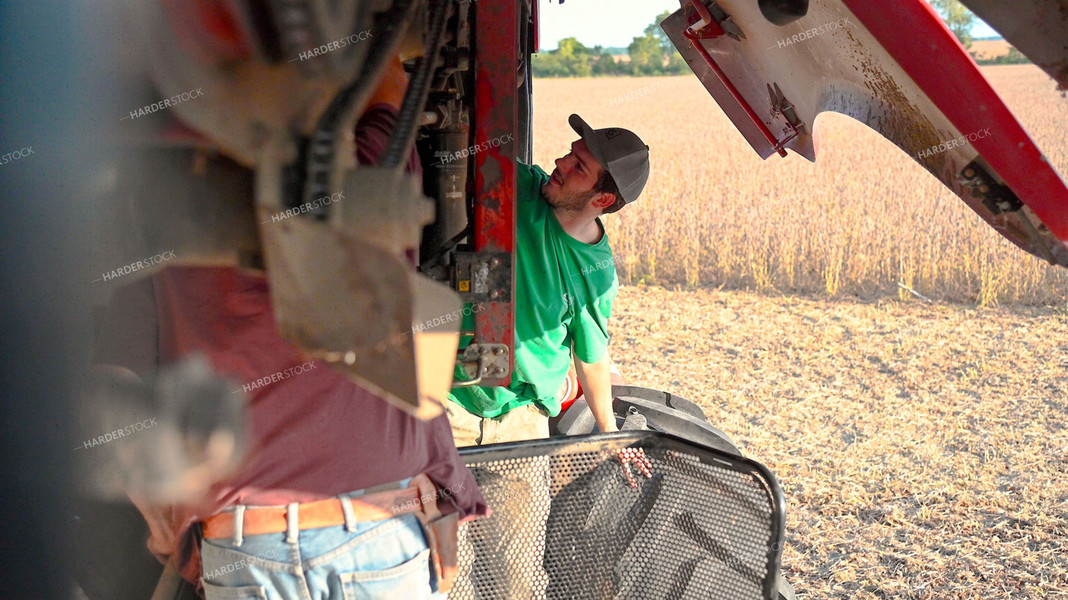 Multigenerational Farm Familiy Repairing Combine in a Bean Field 25513