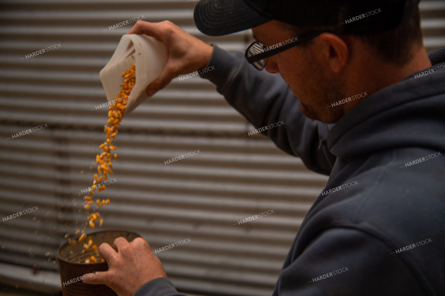 Farmer Testing Corn Moisture On-farm Storage 25554