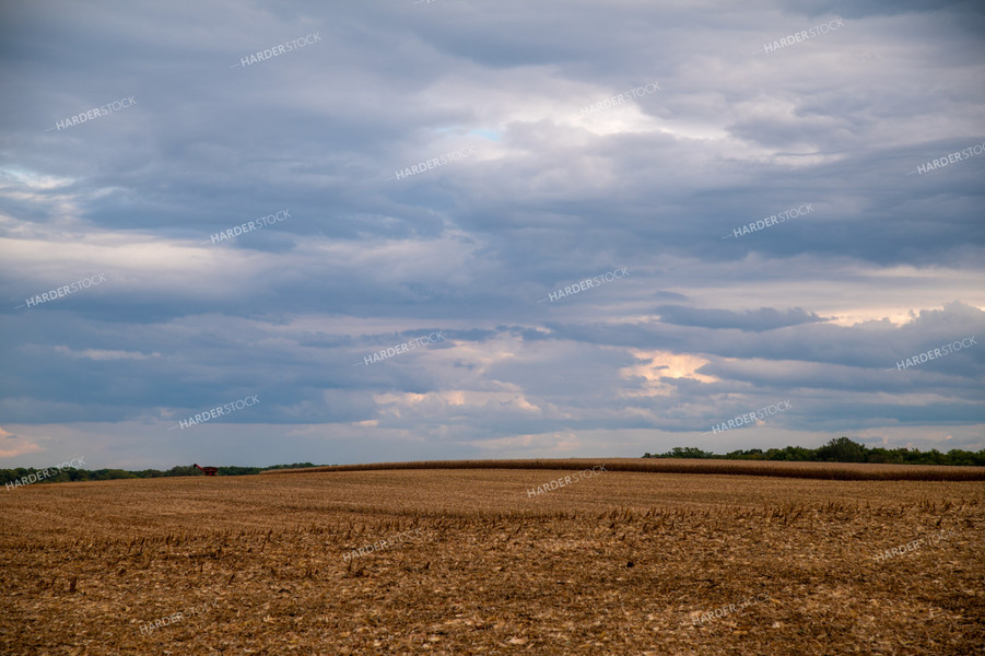 Harvested Corn Field as Storm Approaches 25559