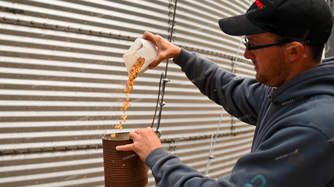 Farmer Testing Corn Moisture On-farm Storage 25617