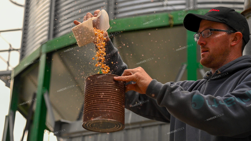 Farmer Testing Corn Moisture On-farm Storage 25621