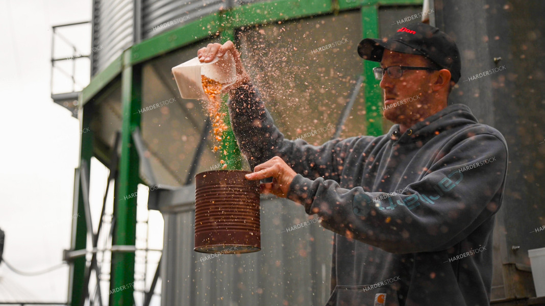 Farmer Testing Corn Moisture On-farm Storage 25623