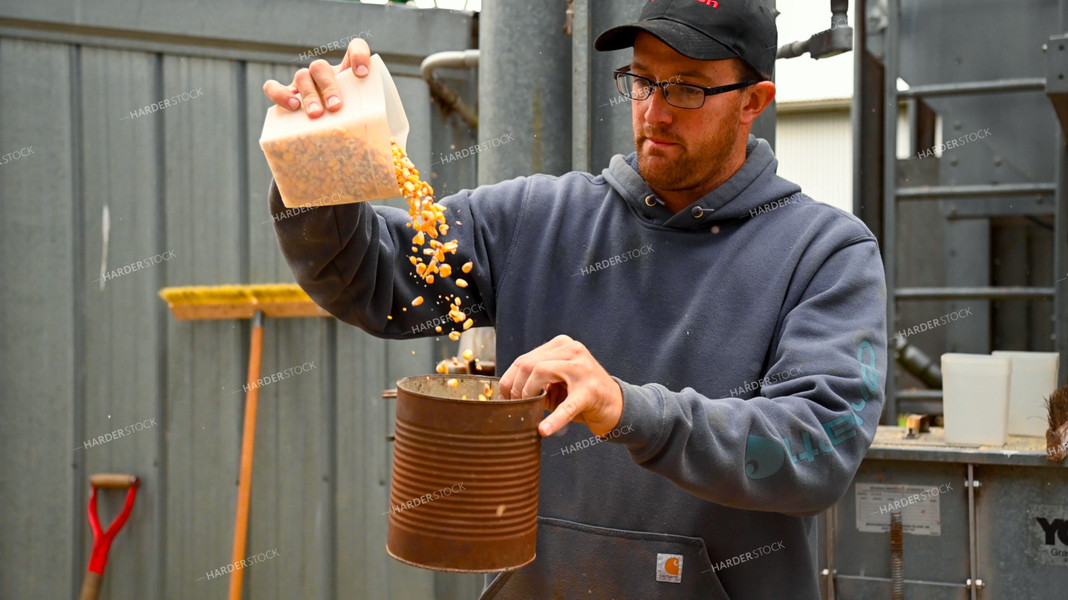 Farmer Testing Corn Moisture On-farm Storage 25627