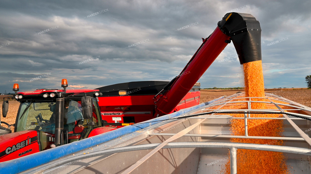 Grain Cart Unloading into Semi 25633