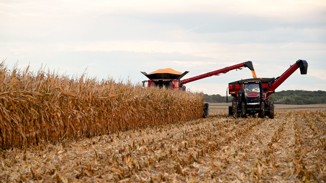 Combine Unloading Corn into Auger Wagon on the Go 25641