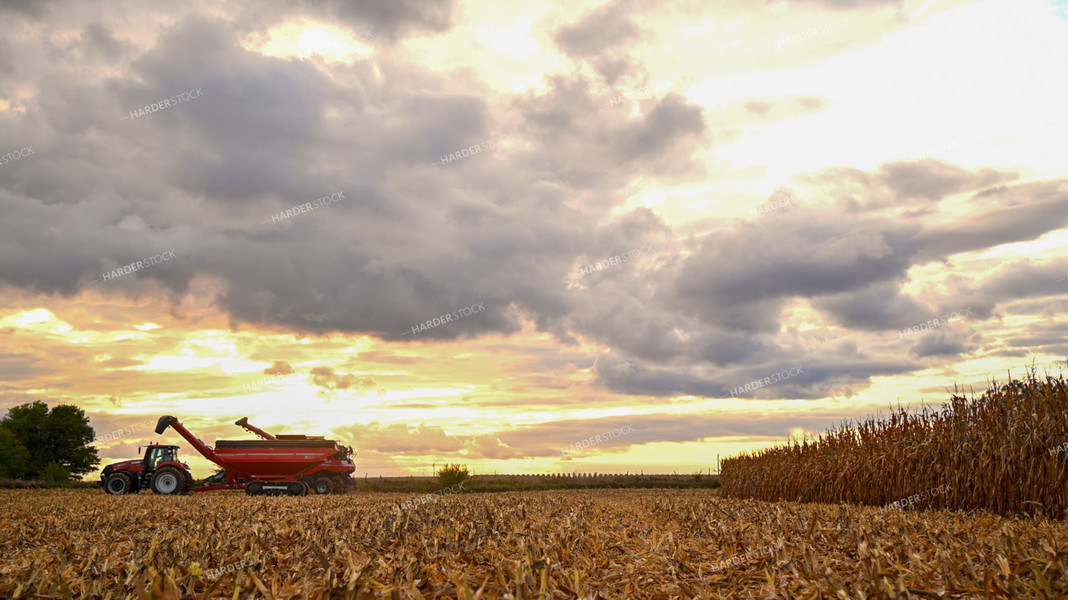 Combine Unloading Corn into Auger Wagon on the Go 25647