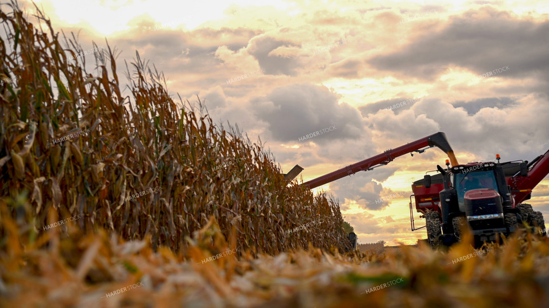 Combine Unloading Corn into Auger Wagon on the Go 25648