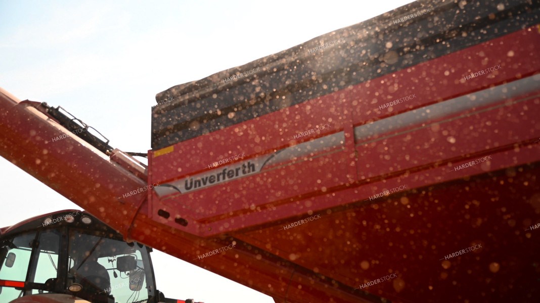 Red Dog Fills the Air as Corn is Unloaded from Grain Cart 25666