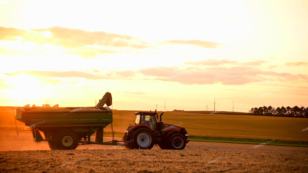 Grain Cart Driving in Soybean Field at Sunset 25736