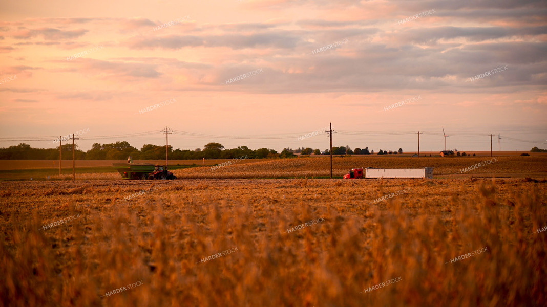 Grain Cart Driving to Semi Truck in Soybean Field at Sunset 25738