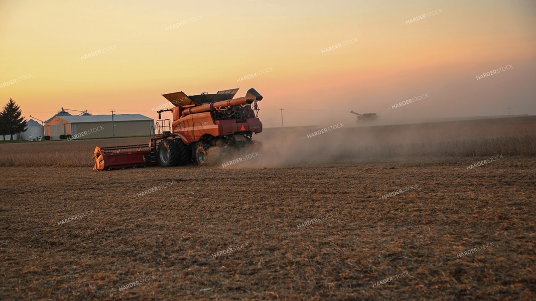 Two Combines Harvesting Soybeans at Sunset 25765