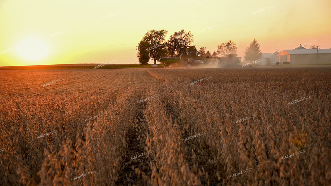 Combine and Grain Cart Harvesting Soybeans at Sunset 25766