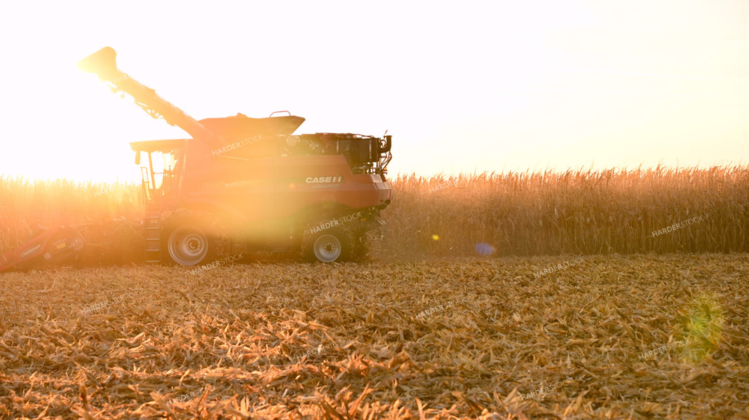 Combine Harvesting Corn at Sunset 25783