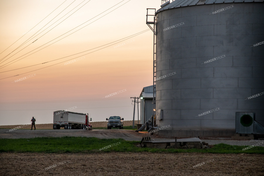 Farmer Working at Grain Bin Site during Harvest 25796