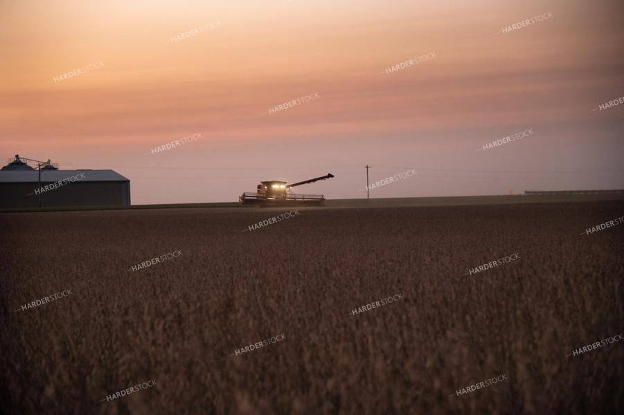 Combine Harvesting Soybeans at Sunset 25799