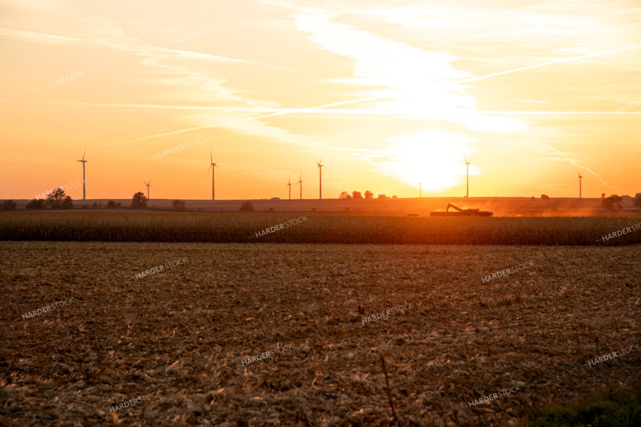 Combine Harvesting Corn at Sunset 25850