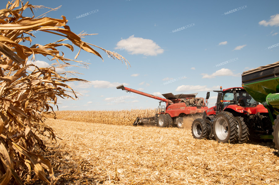 Combine and Grain Cart Harvesting Corn on Sunny Day 25894