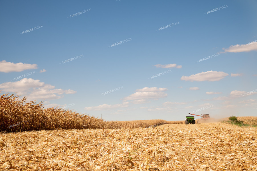 Combine and Grain Cart Harvesting Corn on Sunny Day 25895