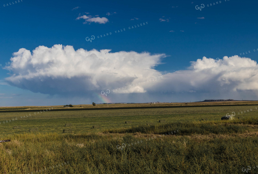 Hay Field 61050