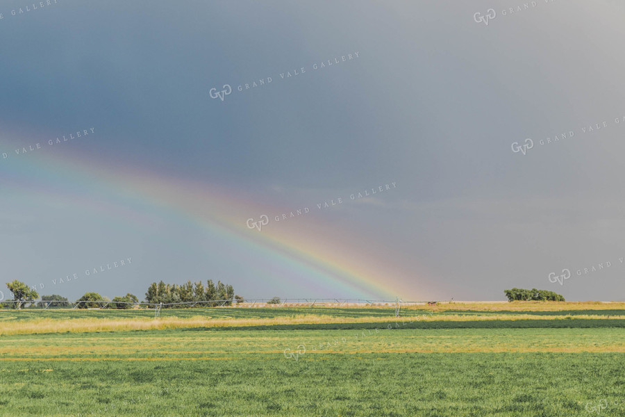 Rainbow Over Hay Field 61052