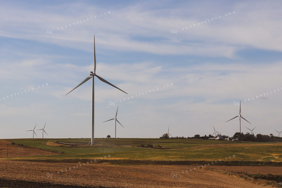 Windmills and Soybean Field 67007