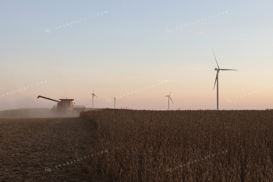 Soybean Harvest 67019