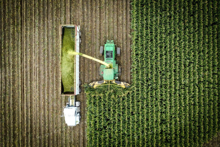 Silage Harvest Drone 56223