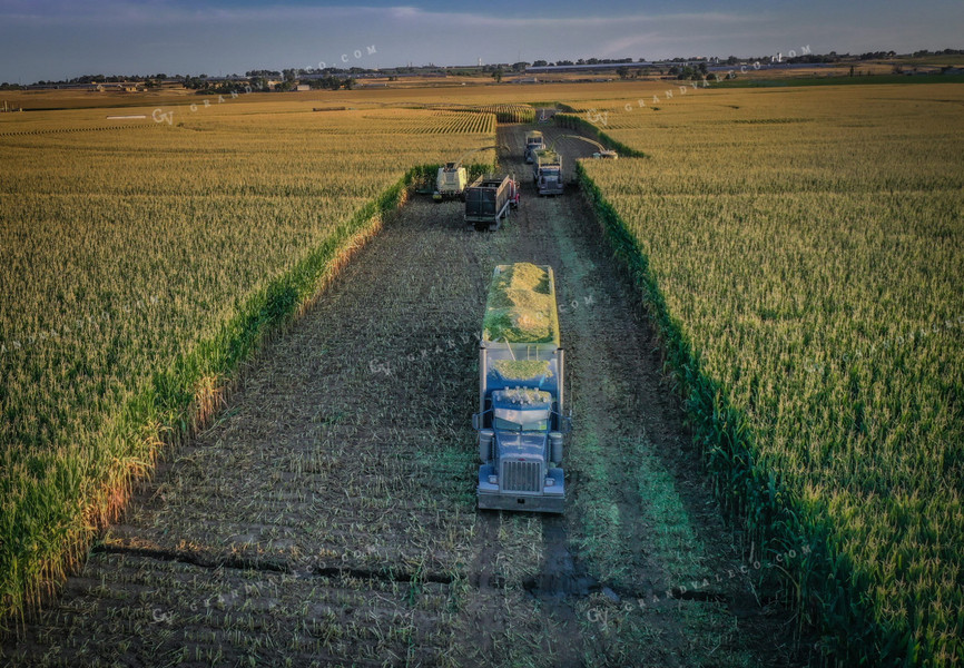 Silage Harvest Drone 56241