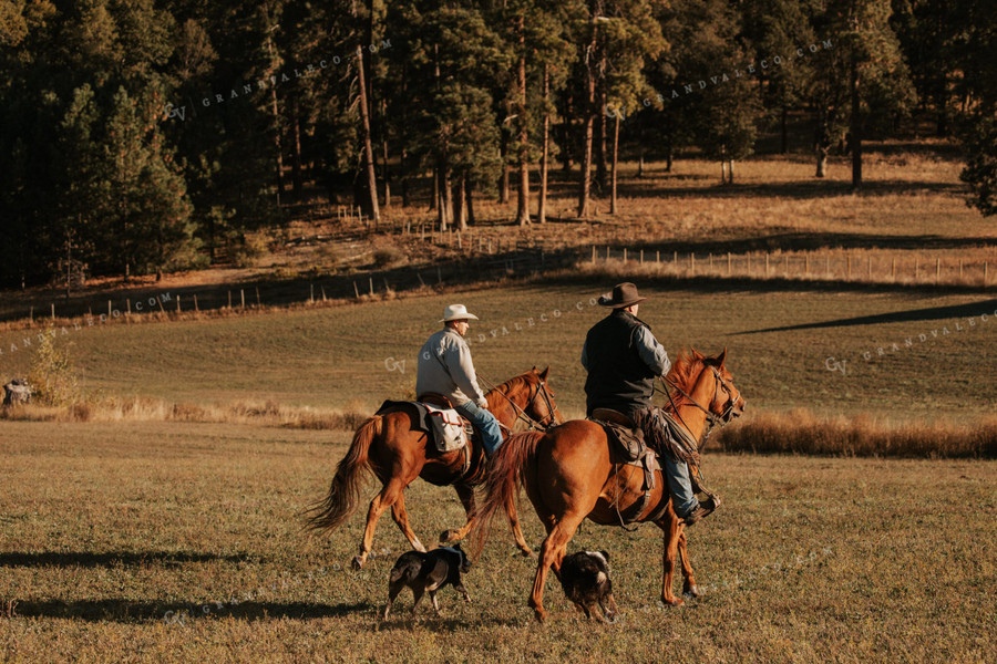 Ranchers on Horseback with Cow Dog 66065