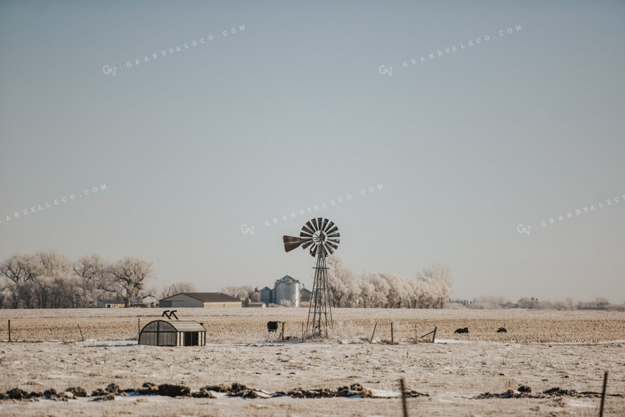 Snowy Pasture and Field 68001