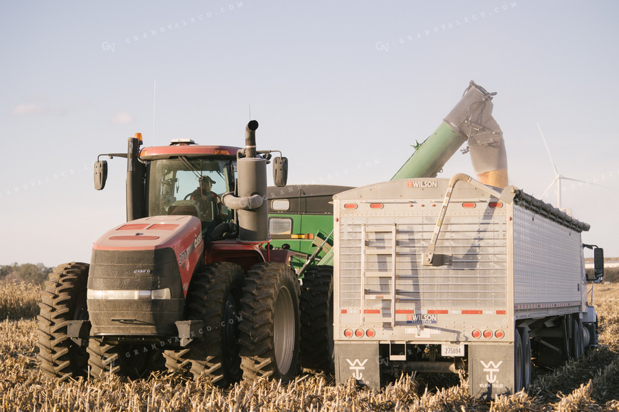 Nebraska Corn Harvest 70017