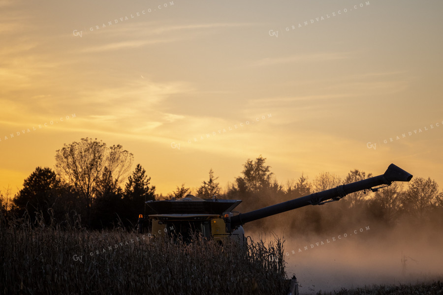 Combine Harvesting Corn at Sunset 70046