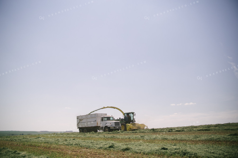 Harvesting Hay Silage 70061