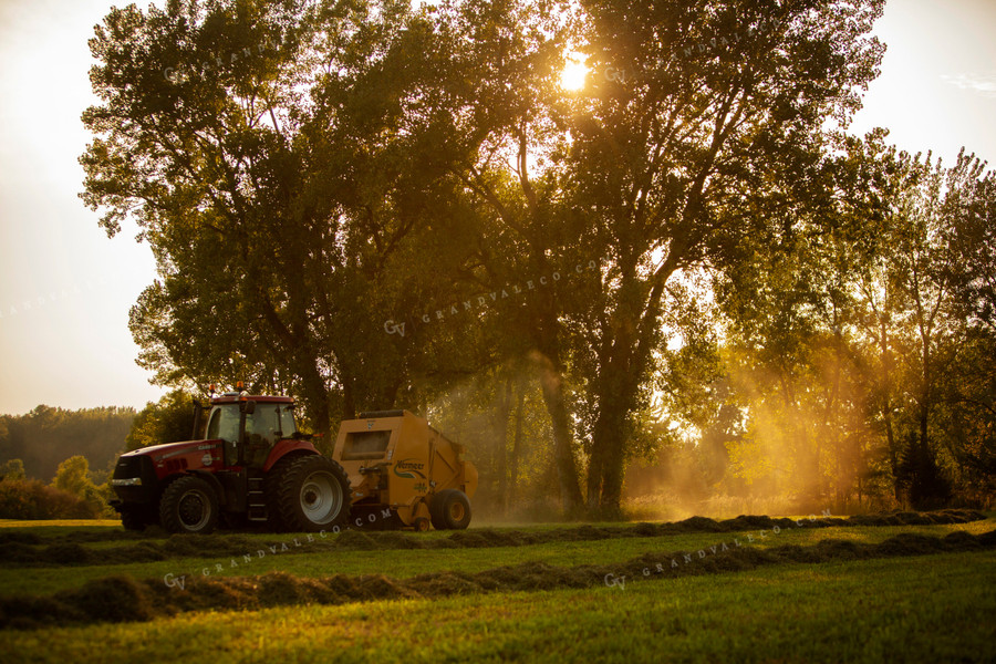 Tractor Baling Hay with Sun Coming through the Trees 5509