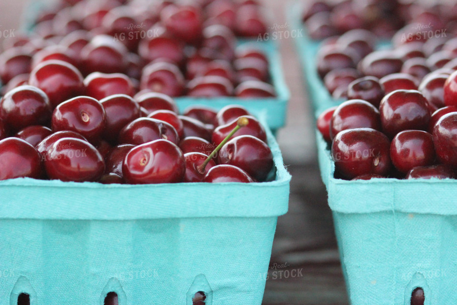 Cherries in Punnet 73011