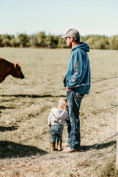 Farm Kid Resting on Farmer in Pasture 64171