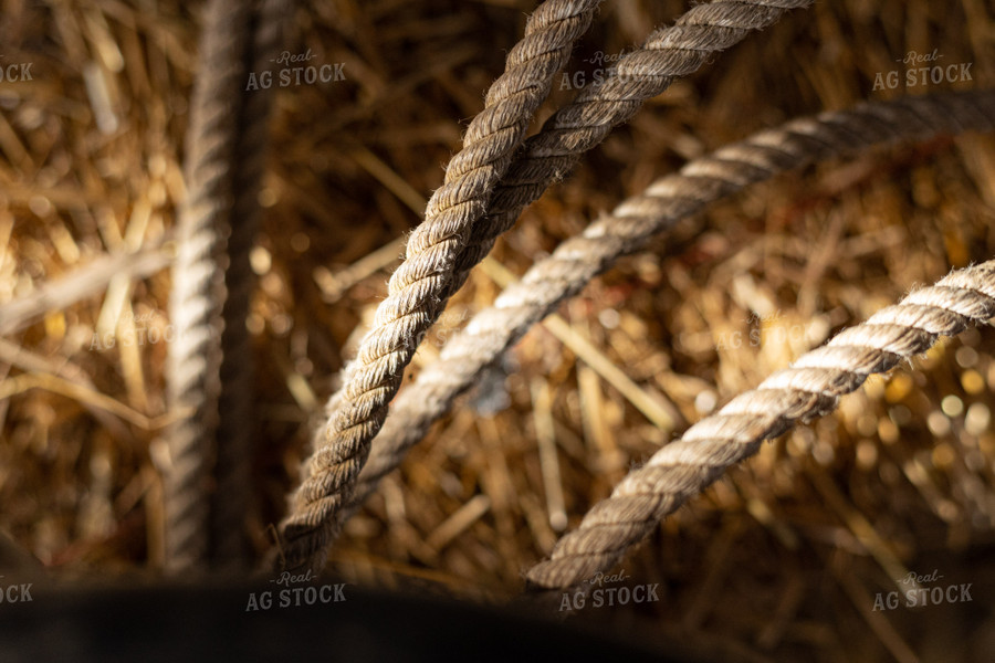 Rope Close Up 52398