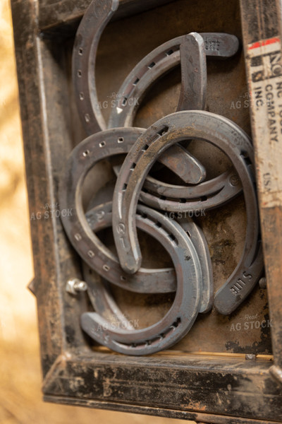 Horse Shoes 52424